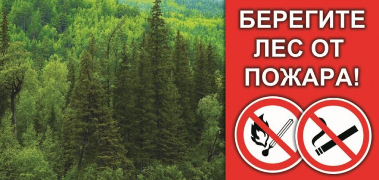 Природоохранный прокурор разъясняет!!!. Природоохранный прокурор разъясняет!!!.
