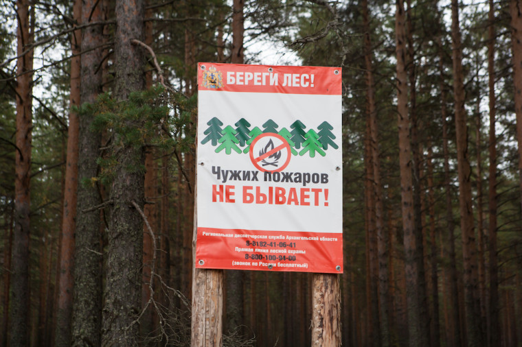 Природоохранный прокурор разъясняет!!!. Природоохранный прокурор разъясняет!!!.
