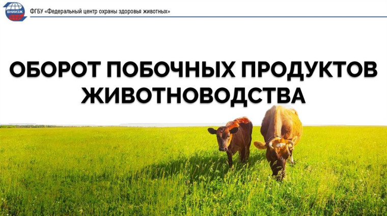 Внимание! Природоохранный прокурор разъясняет!. Внимание! Природоохранный прокурор разъясняет!.