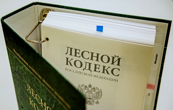 Внимание! Природоохранный прокурор разъясняет!. Внимание! Природоохранный прокурор разъясняет!.